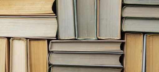 Защита диссертации Федотовой Д.В. на соискание ученой степени к.ф.м.н.